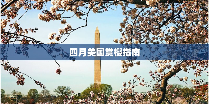 四月美国赏樱指南