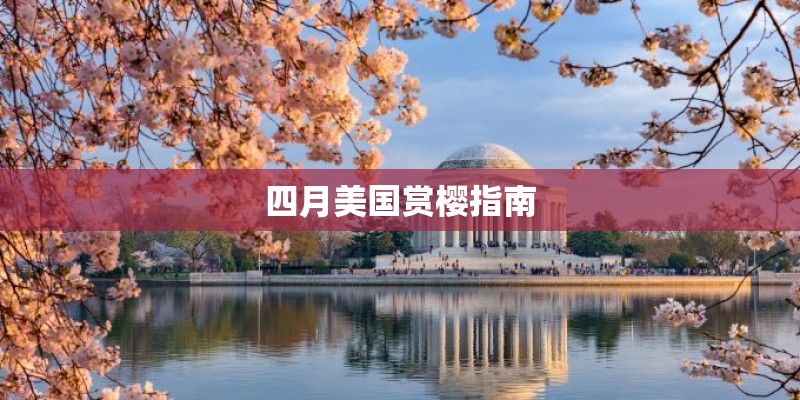 四月美国赏樱指南