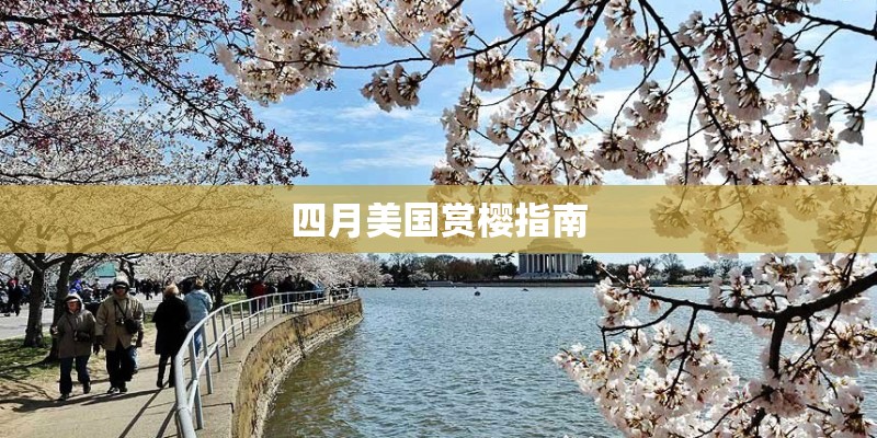 四月美国赏樱指南