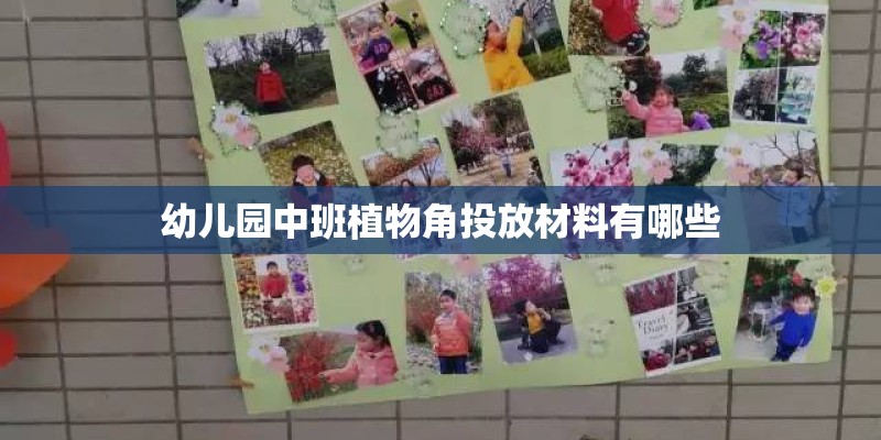 幼儿园中班植物角投放材料有哪些