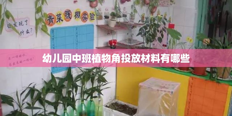 幼儿园中班植物角投放材料有哪些