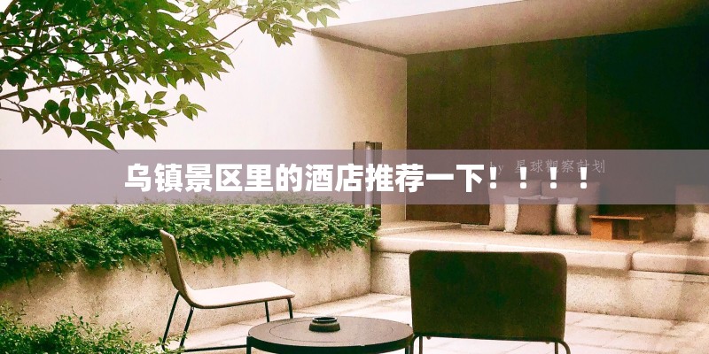 乌镇景区里的酒店推荐一下！！！！